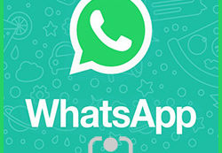 FENAMIX DIRECTO - Servicio de comunicación vía Whatsapp