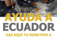 COMUNICADO: CAMPAÑA SOLIDARIDAD CON ECUADOR