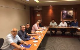 JUNTA DIRECTIVA FENAMIX (10/06/17)