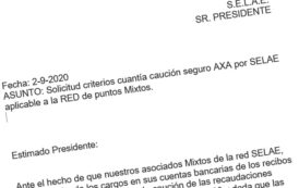 Solicitud de criterios en la caución del Punto Mixto